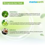 BhringAmla Hair Mask with Bhringraj & Amla for Intense Hair Treatment – 200 g - Image 5
